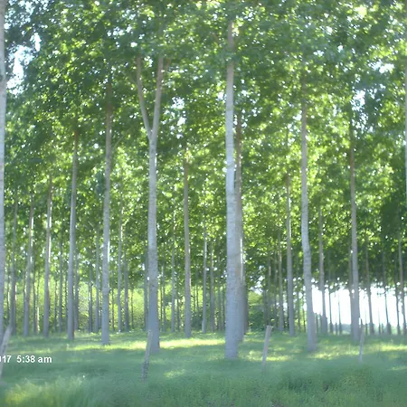 Avec Sa Piscine Privee Saint-Pée-Saint-Simon